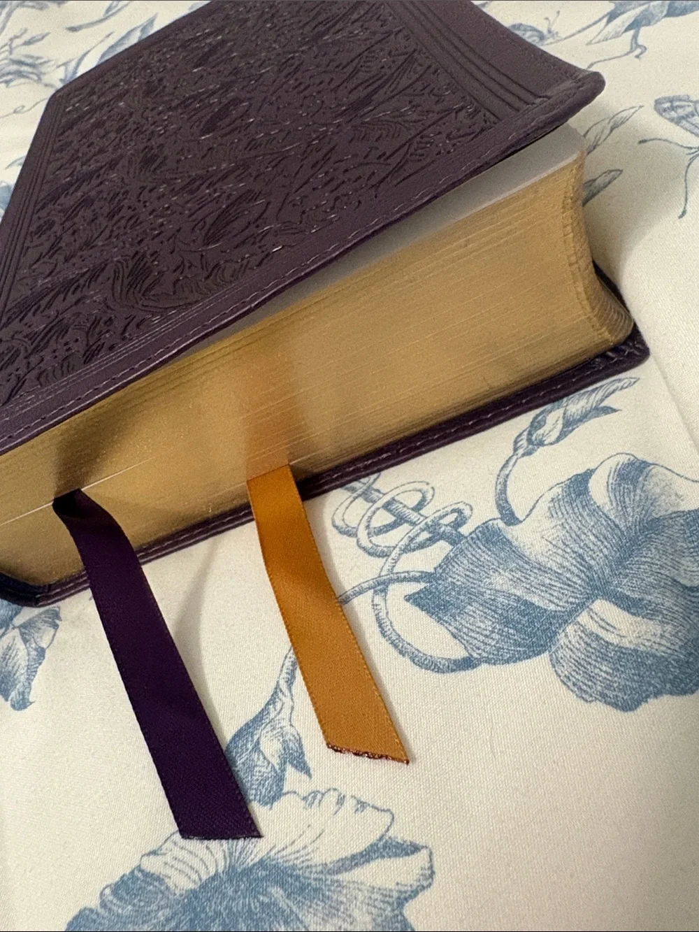 Women’s Bible Study Set of 3 (Purple KJV Bible, Devotional, Bible Study)